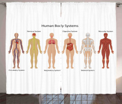 Skeleton System Curtain