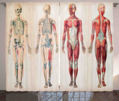 Anatomy Human Body Curtain