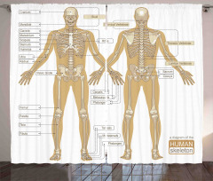 Human Skeleton System Curtain