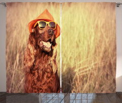 Dog Wearing Hat Glasses Curtain