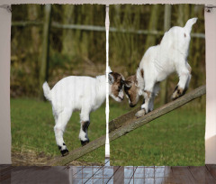 Farm Life with Goats Curtain