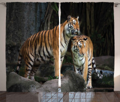 Tiger Couple in Jungle Curtain
