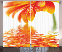 Sun Flower Reflection Curtain