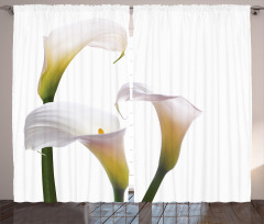 Calla Lilies Romantic Curtain