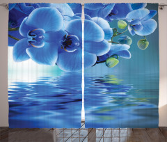 Natural Orchids Curtain