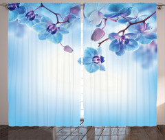 Orchids Nature Curtain