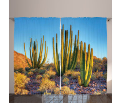 Mountain Cactus Photo Curtain
