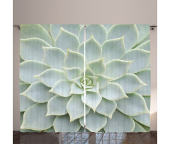 Cactus Flowers Photo Curtain