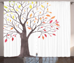 Forest Trees with Leaves Curtain