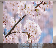 Floral Cherry Branches Curtain