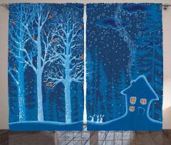 Winter Scenery with Show Curtain