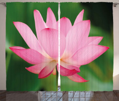 Lotus Lily Blossom Curtain