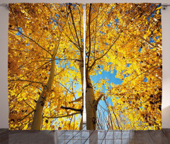 Autumn Trees Leaf Forest Curtain