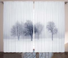 Winter Leafless Forest Curtain
