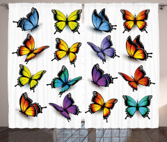 Colorful Wings Spring Curtain