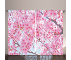 Japanese Sakura Flowers Curtain