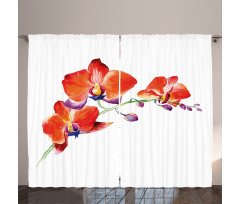 Orchid Branch Blooms Curtain