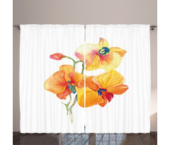 Orchid Petal Wild Exotic Curtain