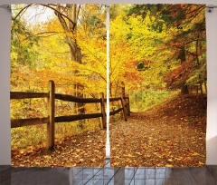 Fall Trees Leaf Road Curtain