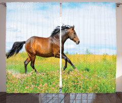 Horse Rural Flowers Curtain