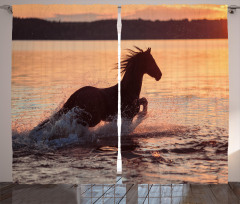 Horse Sea at Sunset Curtain