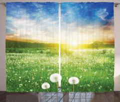 Dandelion Flower Field Curtain