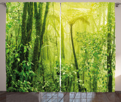 Tropical Amazon Forest Curtain
