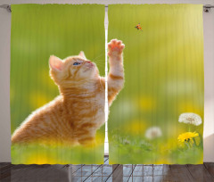 Ladybug Cats Dandelions Curtain