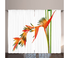 Exotic Flower Branch Curtain