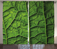 Forest Tree Leaf Texture Curtain