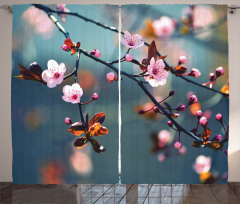 Blooming Sakura Flowers Curtain
