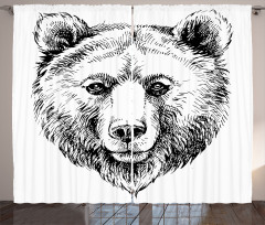 Grizzly Bear Ink Sketch Curtain