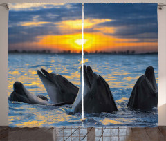 Bottle Nosed Dolphins Curtain