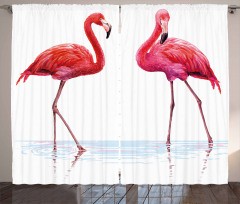 Exotic Flamingos on Sea Curtain