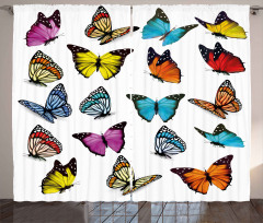 Butterflies Composition Curtain