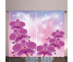 Exotic Orchid Flowers Curtain