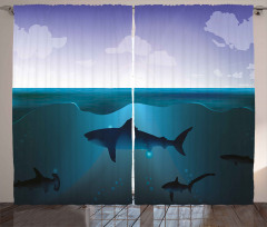 Wild Sharks in Sea Curtain