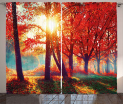 Foggy Autumnal Park Scenic Curtain