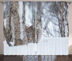 European Lynx Wilderness Curtain
