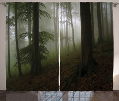 Mysterious Woods Foggy Curtain