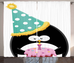 Party Hat Cake Newborn Curtain