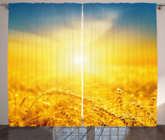 Harvest Wheat Curtain