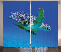 Tropics Turtle Aquarium Curtain