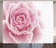 Rose Petals Beauty Curtain