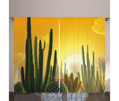 Sunset Desert Ecology Curtain