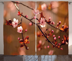 Sakura Flourishing Curtain