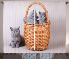 British Cats in Basket Curtain