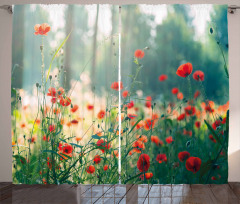 Wild Red Poppy Field Curtain