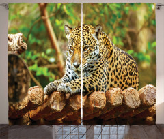 Jaguar on Wood Wild Feline Curtain