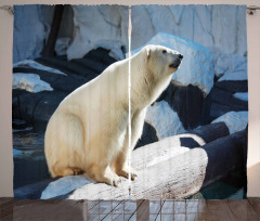 Polar Bear in Park Rocks Curtain